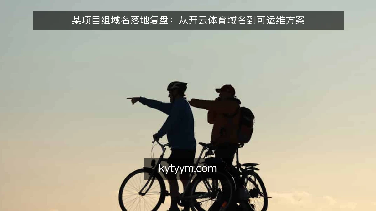 某项目组域名落地复盘：从开云体育域名到可运维方案