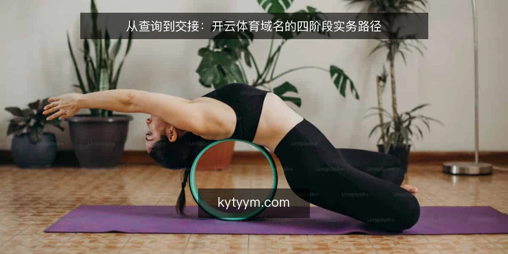 从查询到交接：开云体育域名的四阶段实务路径 — 起点：明确需求与边界 配图