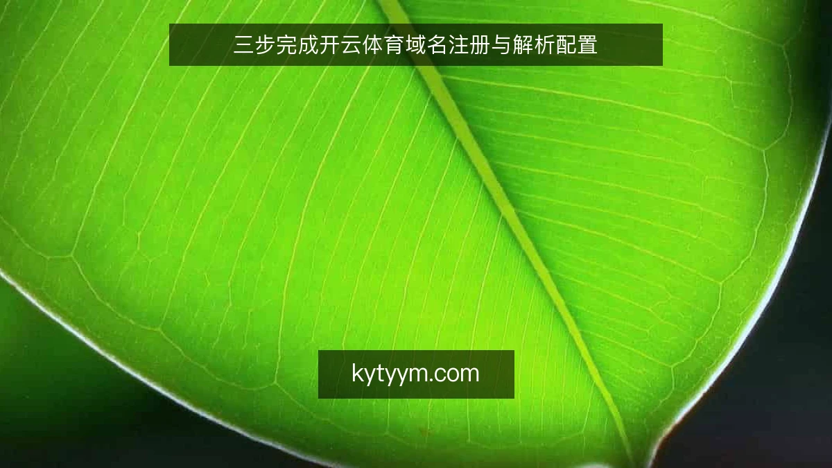 三步完成开云体育域名注册与解析配置