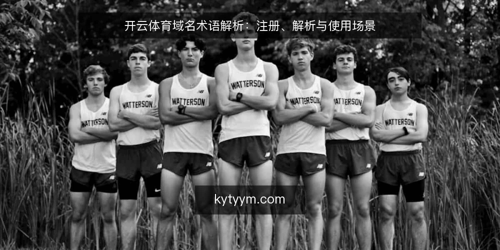 开云体育域名术语解析：注册、解析与使用场景 — 为何现在审计开云体育域名 配图