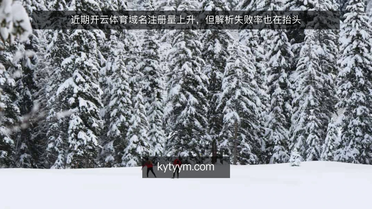 近期开云体育域名注册量上升，但解析失败率也在抬头