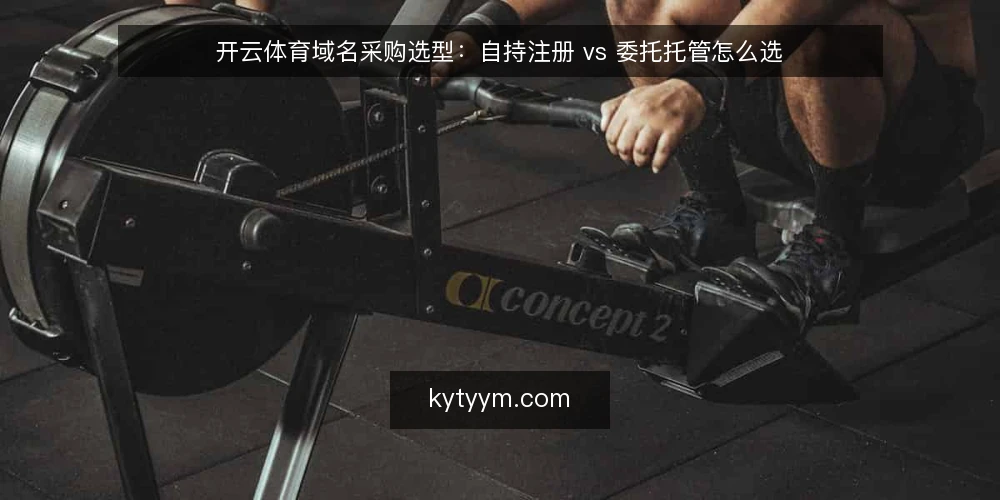 开云体育域名采购选型:自持注册 vs 委托托管怎么选 — 先定决策标准:采购前必须想清的四件事 配图