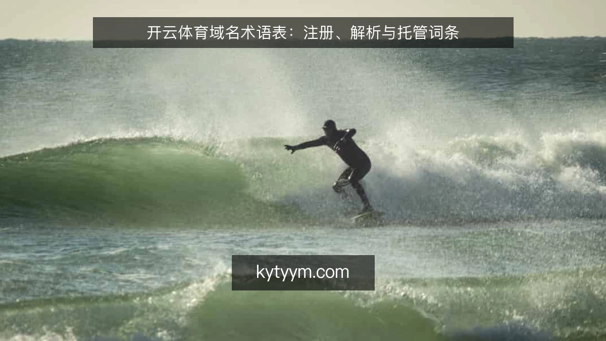 开云体育域名术语表:注册、解析与托管词条