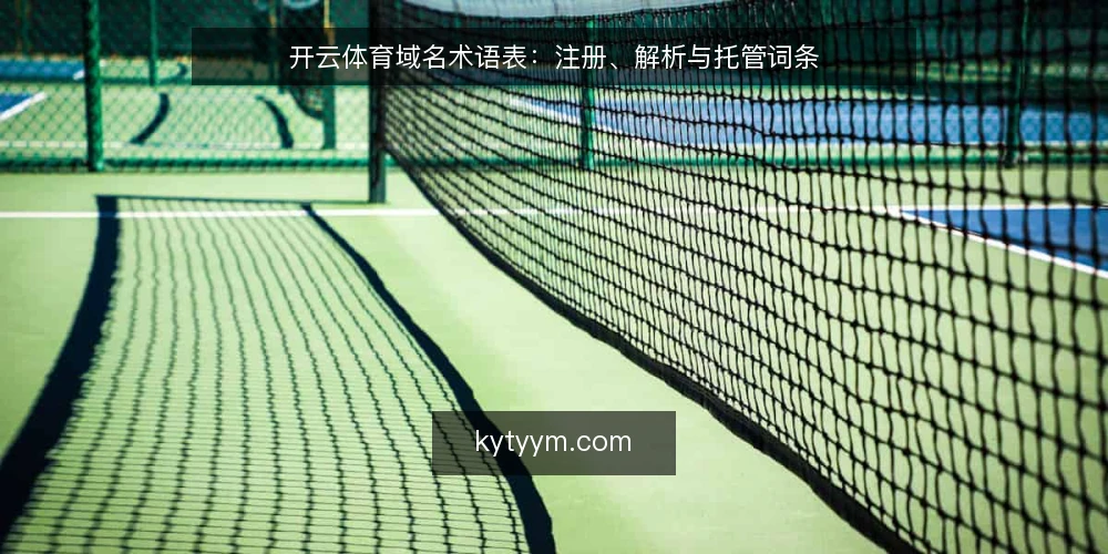 开云体育域名术语表:注册、解析与托管词条 — 信号观察:现场需要留意的术语 配图