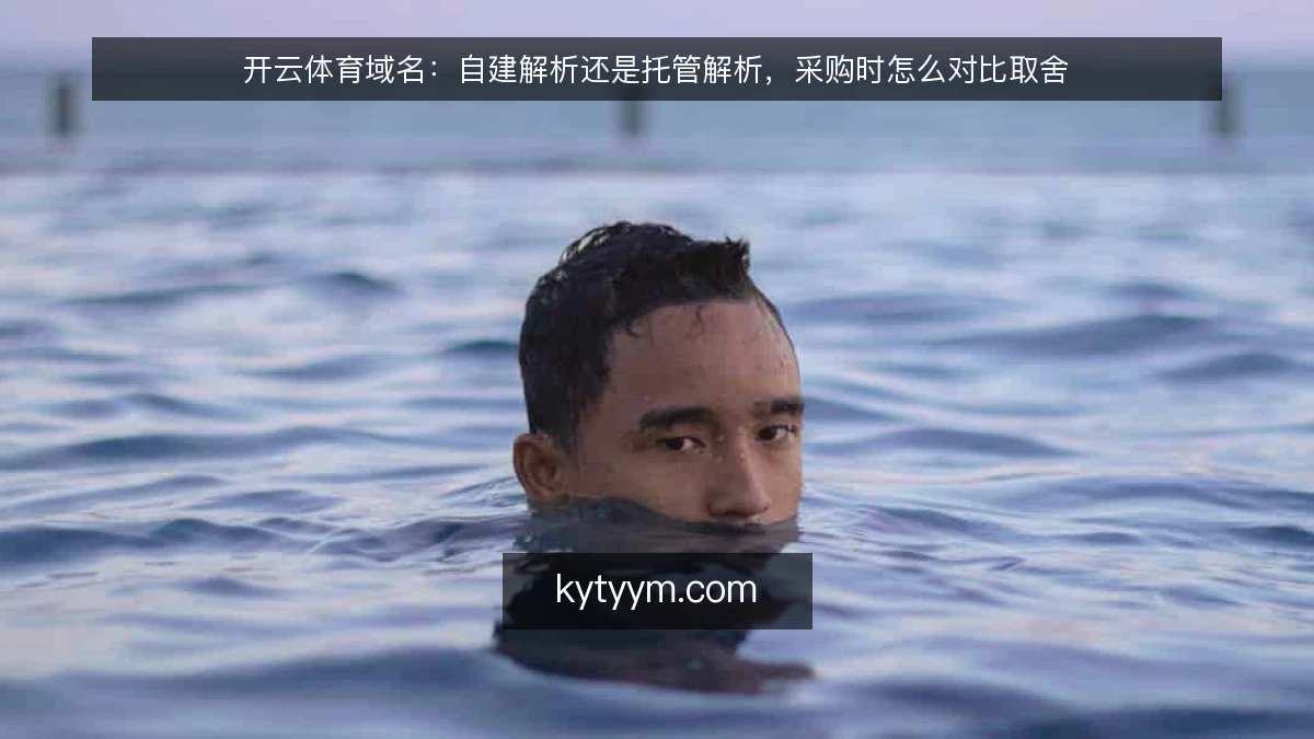 开云体育域名:自建解析还是托管解析,采购时怎么对比取舍