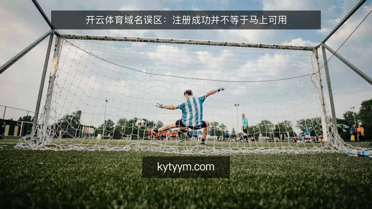 开云体育域名误区:注册成功并不等于马上可用